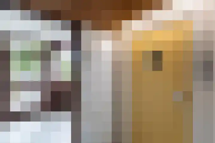 Hijmans van den Berghlaan 224 Utrecht thumbnail 29