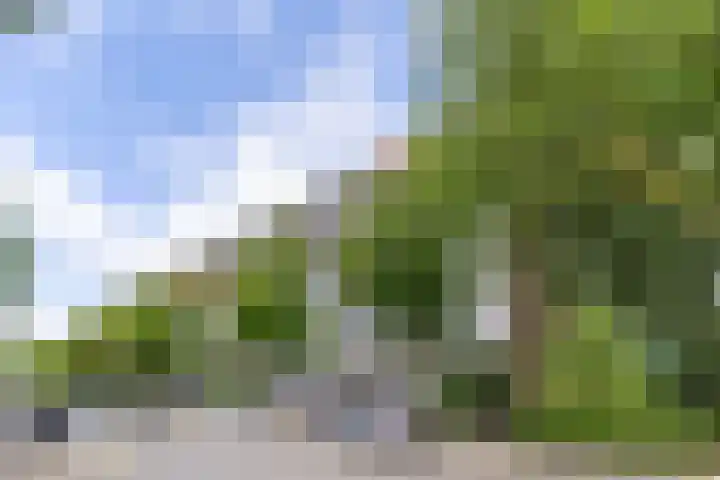 Hijmans van den Berghlaan 224 Utrecht thumbnail 33