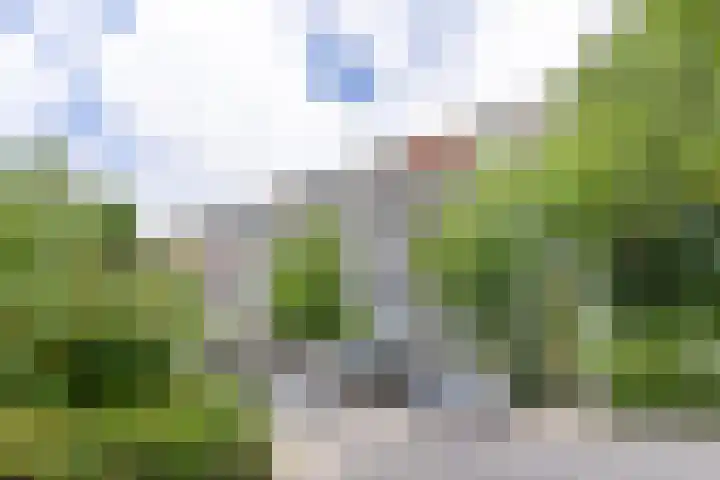 Hijmans van den Berghlaan 224 Utrecht thumbnail 41