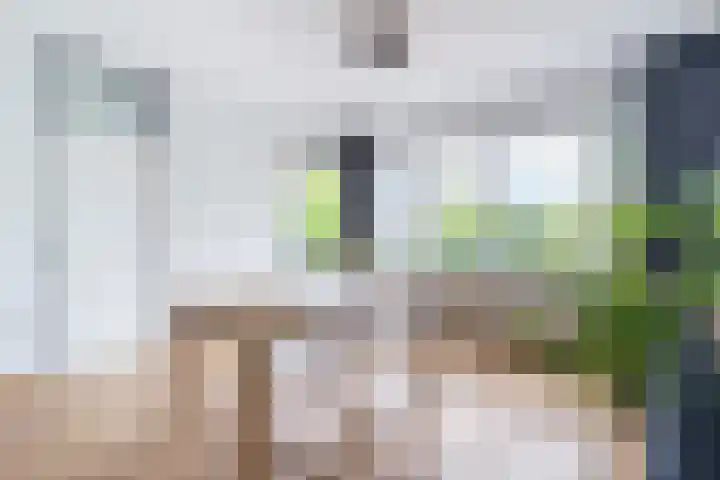 Hijmans van den Berghlaan 224 Utrecht thumbnail 8