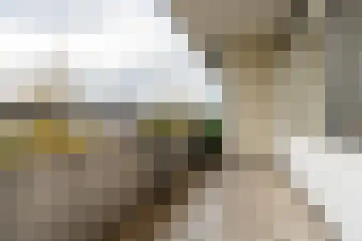Hijmans van den Berghlaan 226 Utrecht thumbnail 12