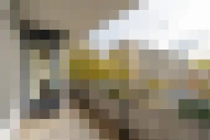 Hijmans van den Berghlaan 226 Utrecht thumbnail 13