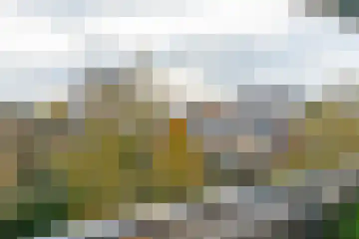 Hijmans van den Berghlaan 226 Utrecht thumbnail 16