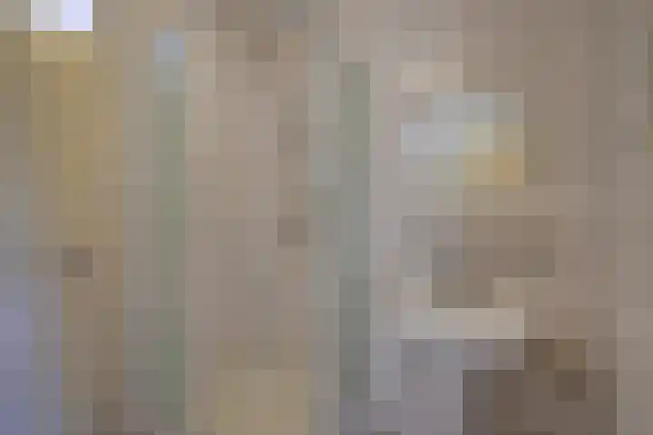 Hijmans van den Berghlaan 226 Utrecht thumbnail 24