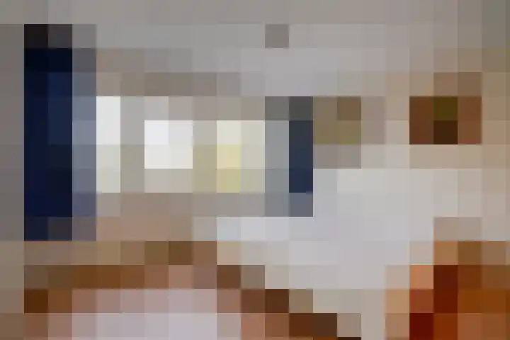 Hijmans van den Berghlaan 226 Utrecht thumbnail 28