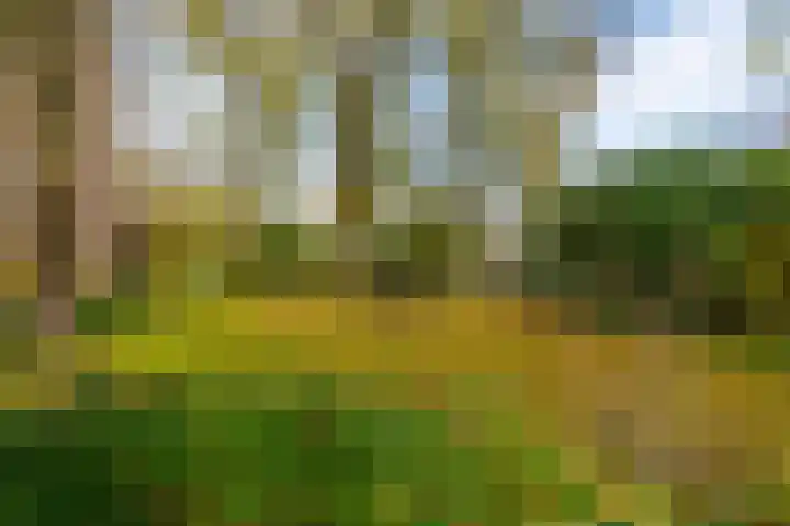 Hijmans van den Berghlaan 226 Utrecht thumbnail 32