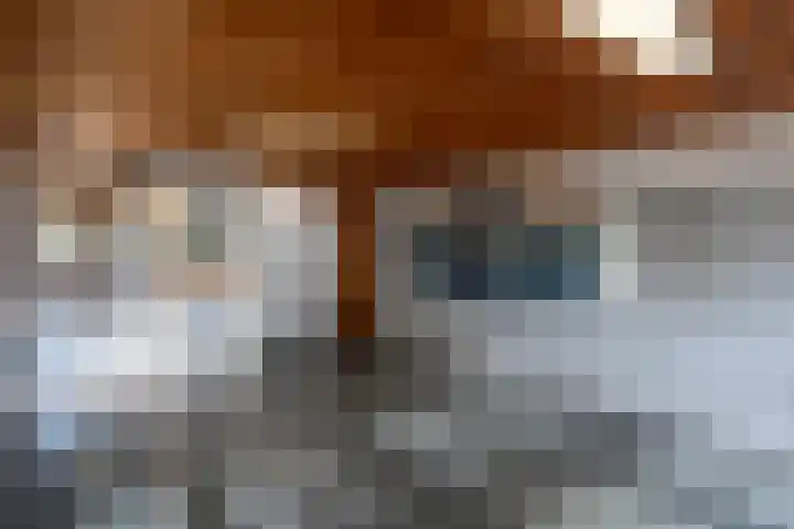 Hijmans van den Berghlaan 226 Utrecht thumbnail 6