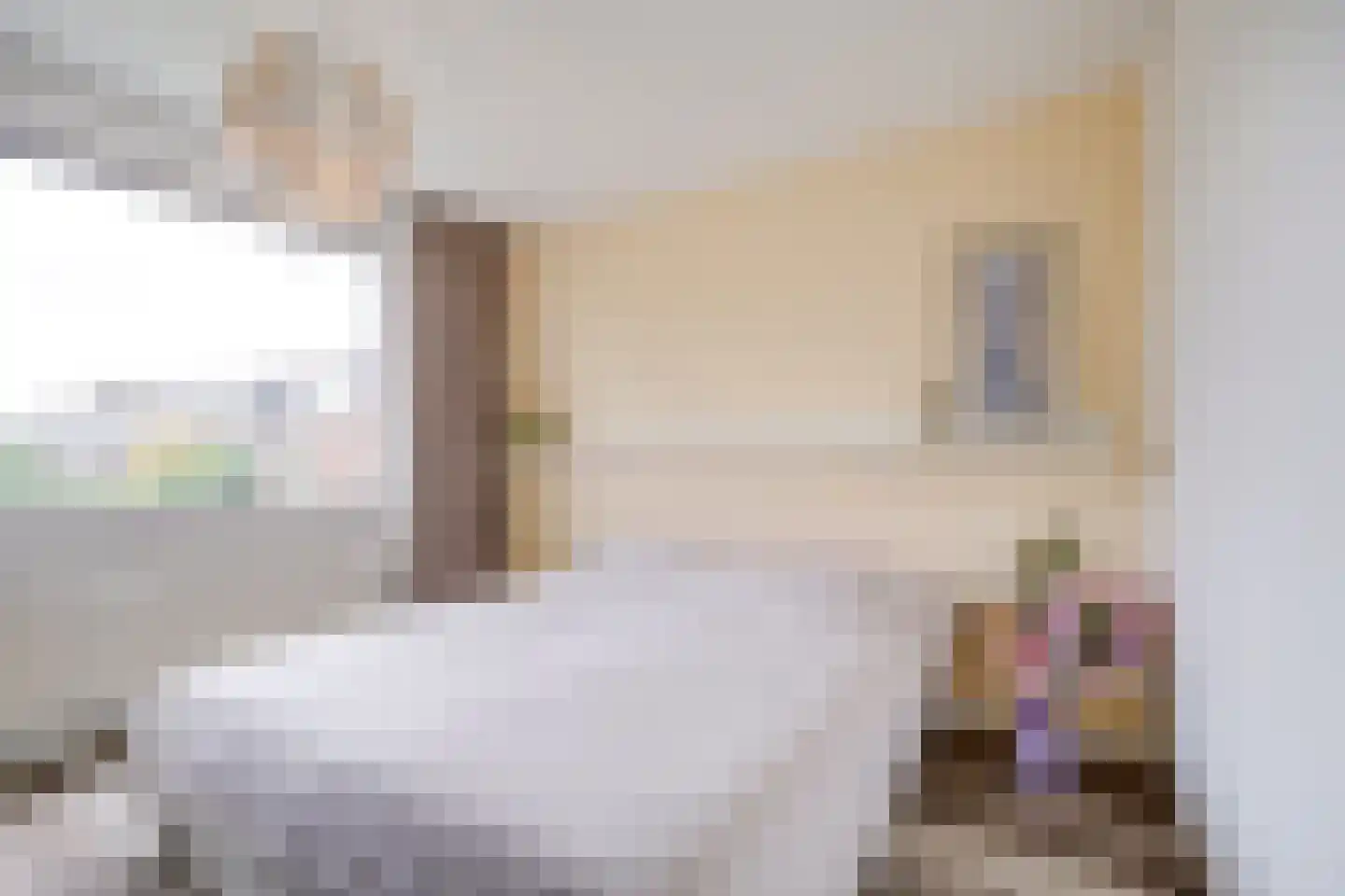 Hijmans van den Berghlaan 6 Utrecht thumbnail 25