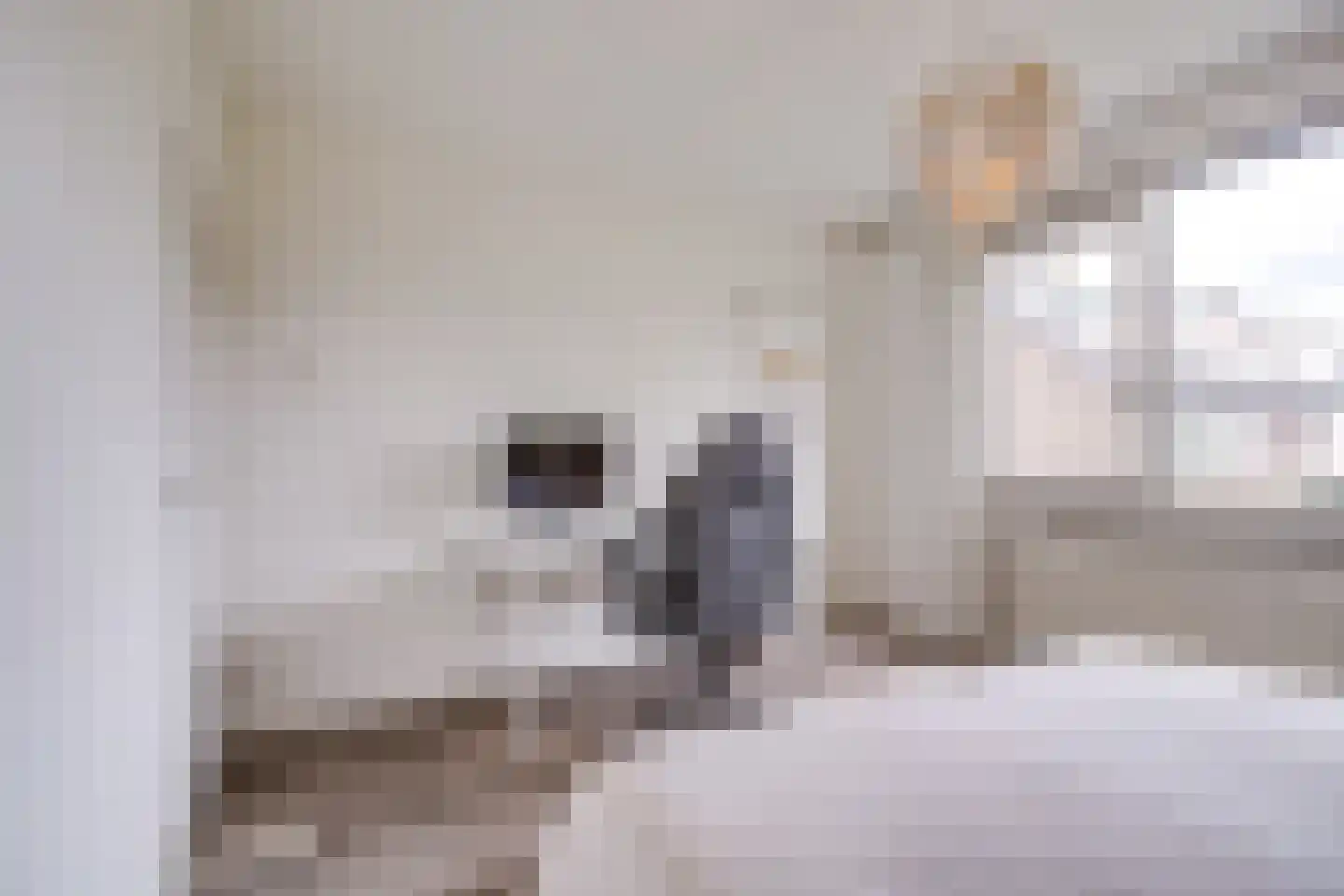 Hijmans van den Berghlaan 6 Utrecht thumbnail 27