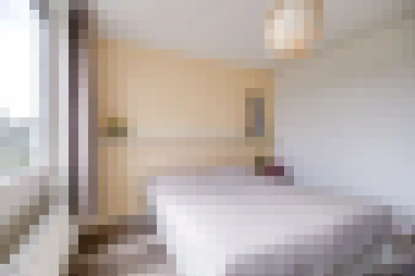 Hijmans van den Berghlaan 6 Utrecht thumbnail 28