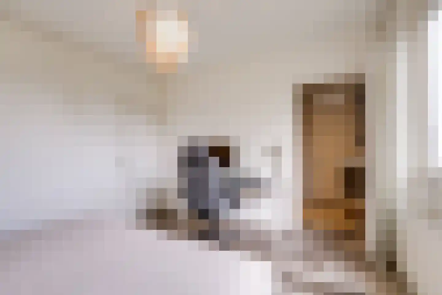 Hijmans van den Berghlaan 6 Utrecht thumbnail 29