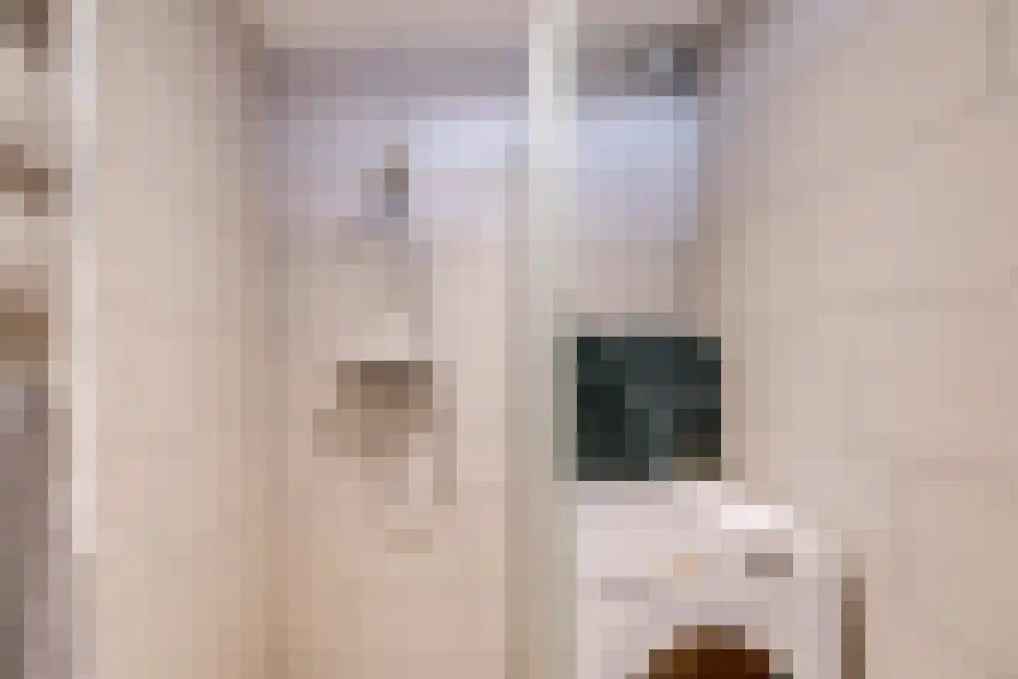 Hijmans van den Berghlaan 6 Utrecht thumbnail 31