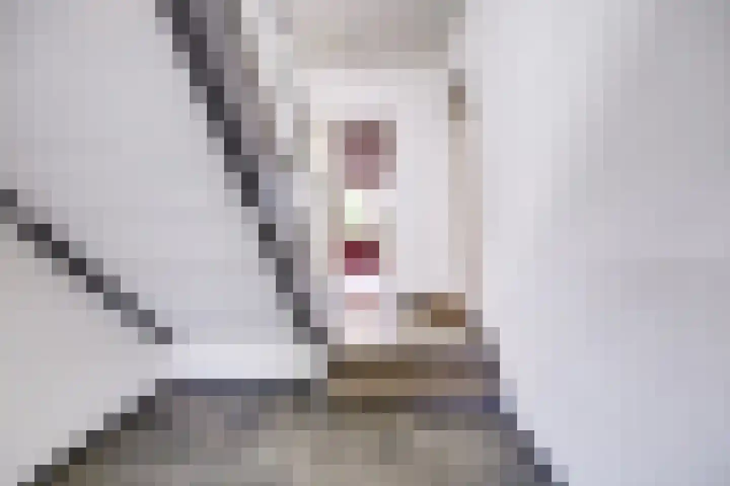 Hijmans van den Berghlaan 6 Utrecht thumbnail 46