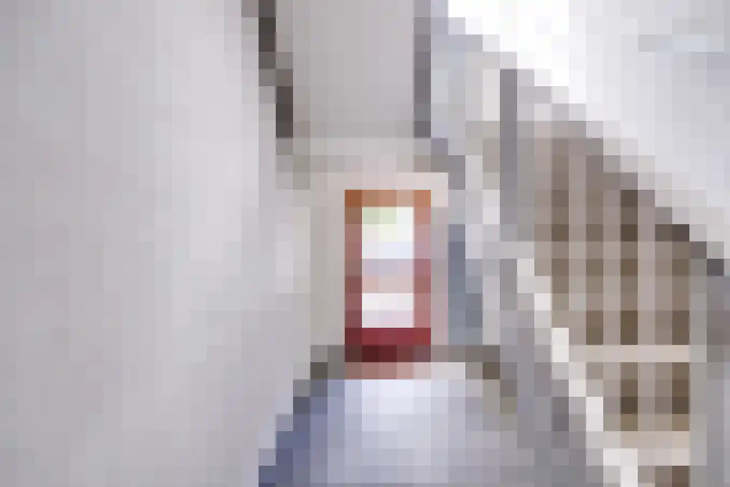 Hijmans van den Berghlaan 6 Utrecht thumbnail 47