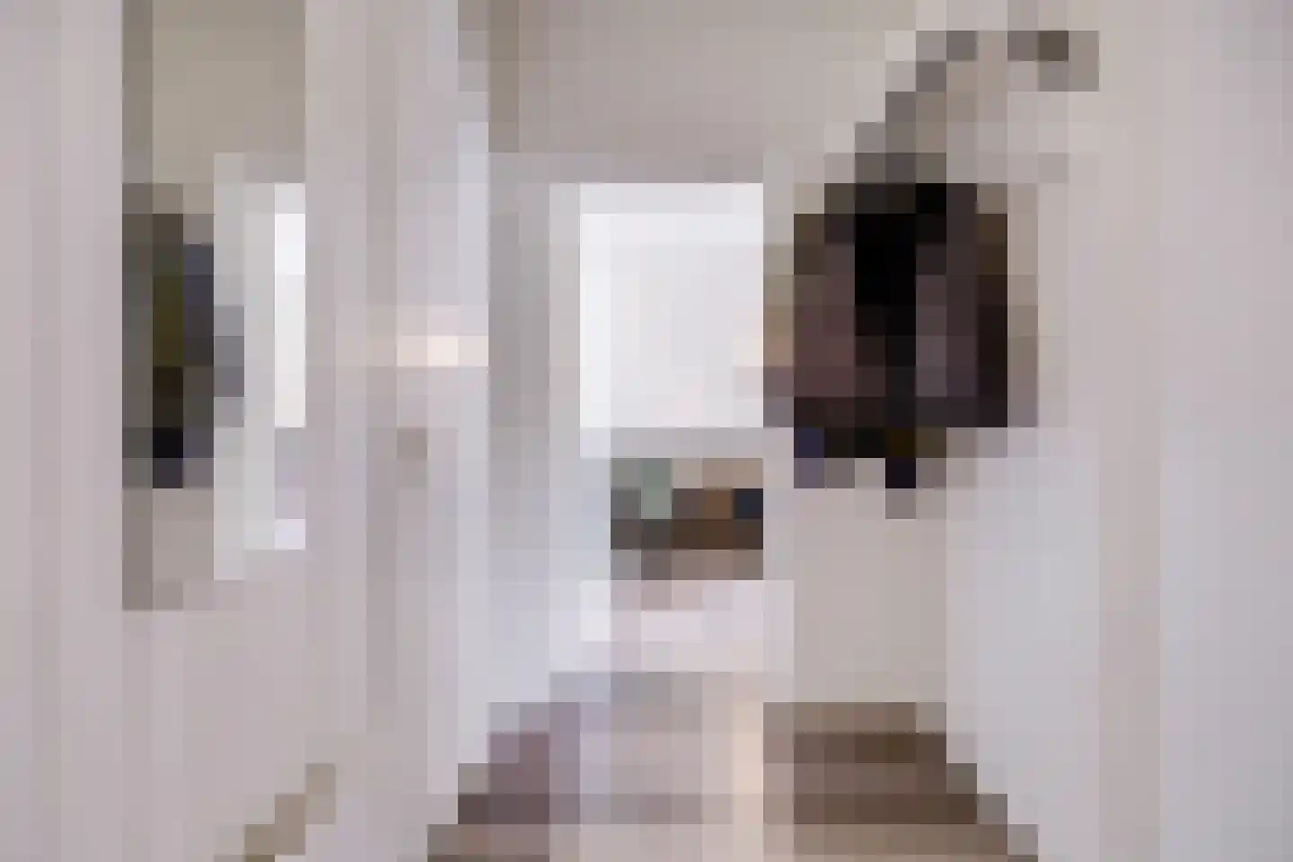 Hijmans van den Berghlaan 6 Utrecht thumbnail 8