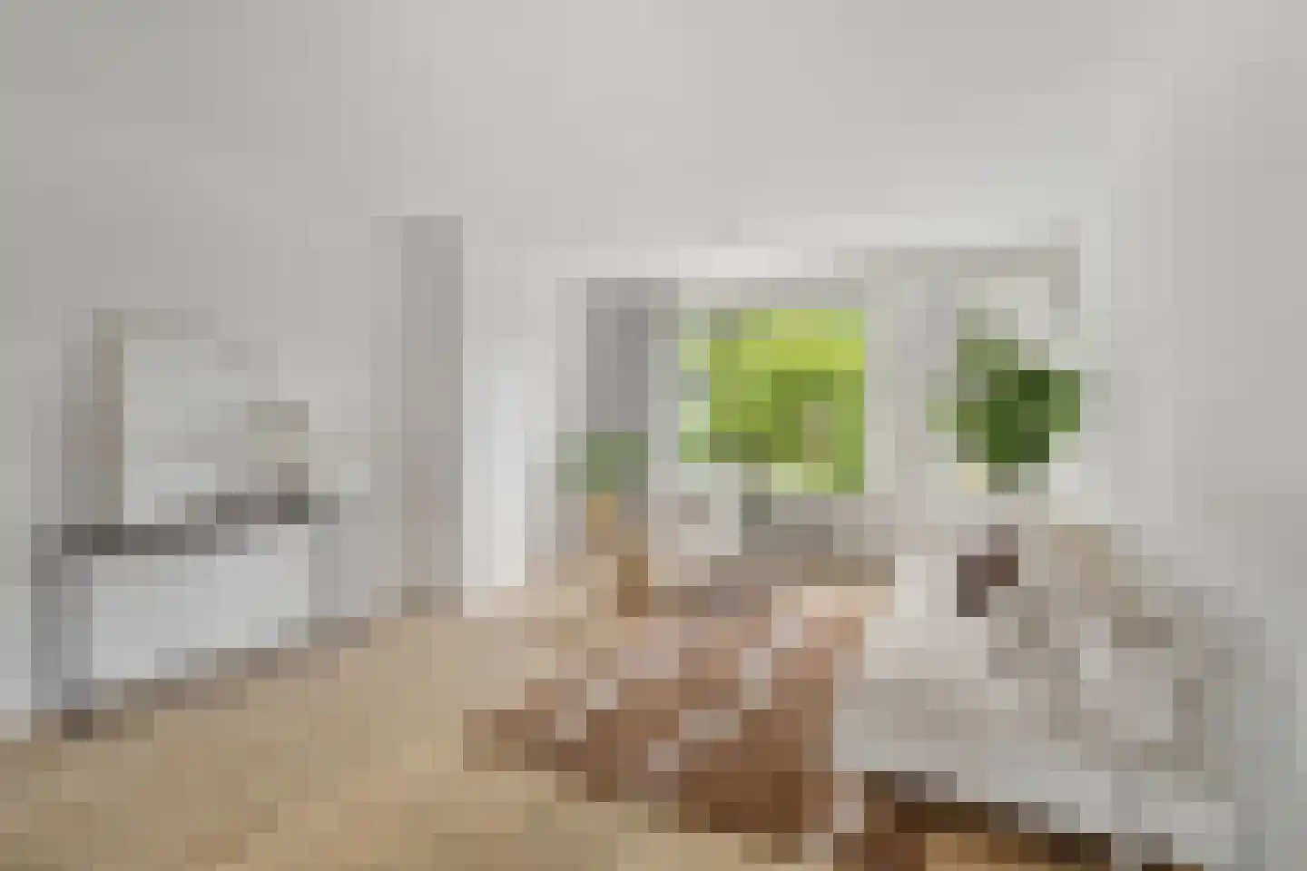 Hijmans van den Berghlaan 74 Utrecht thumbnail 10