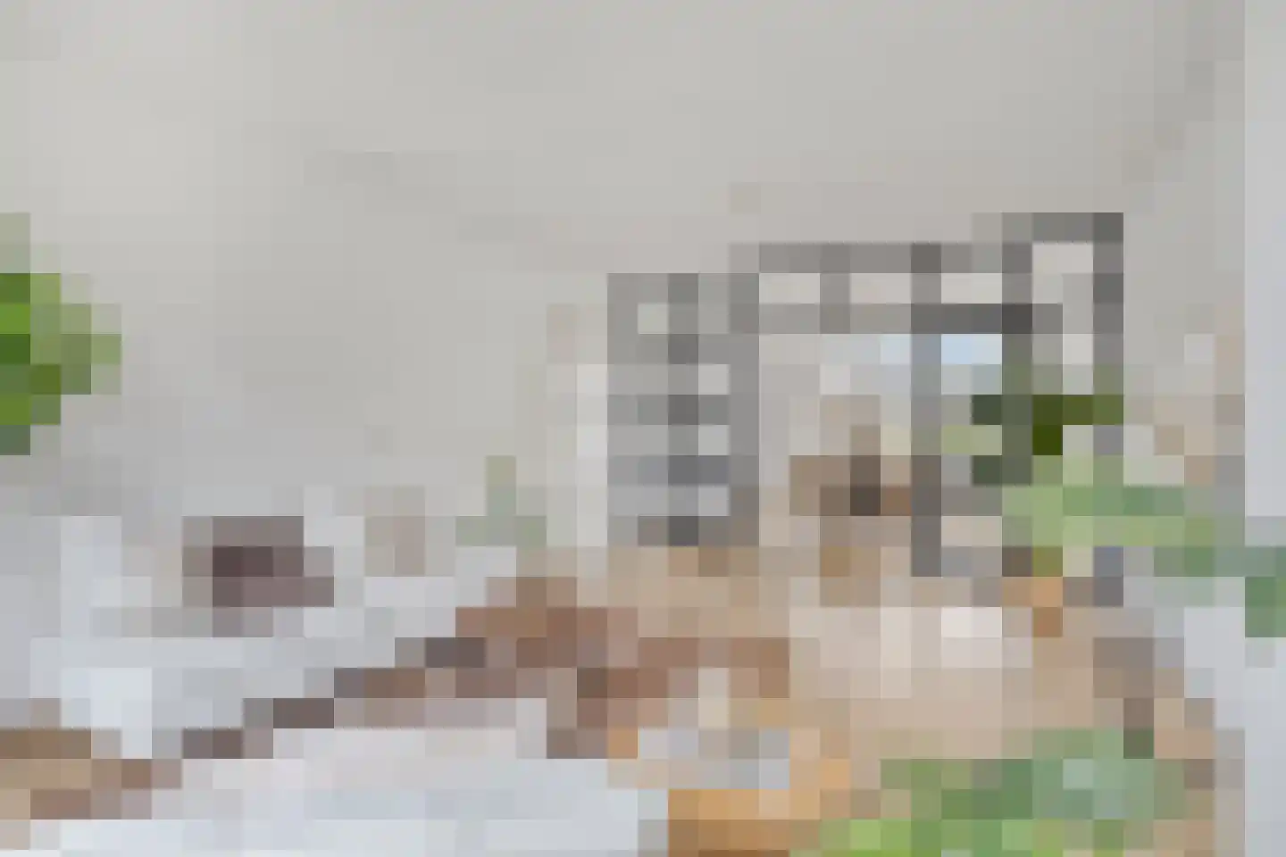 Hijmans van den Berghlaan 74 Utrecht thumbnail 13