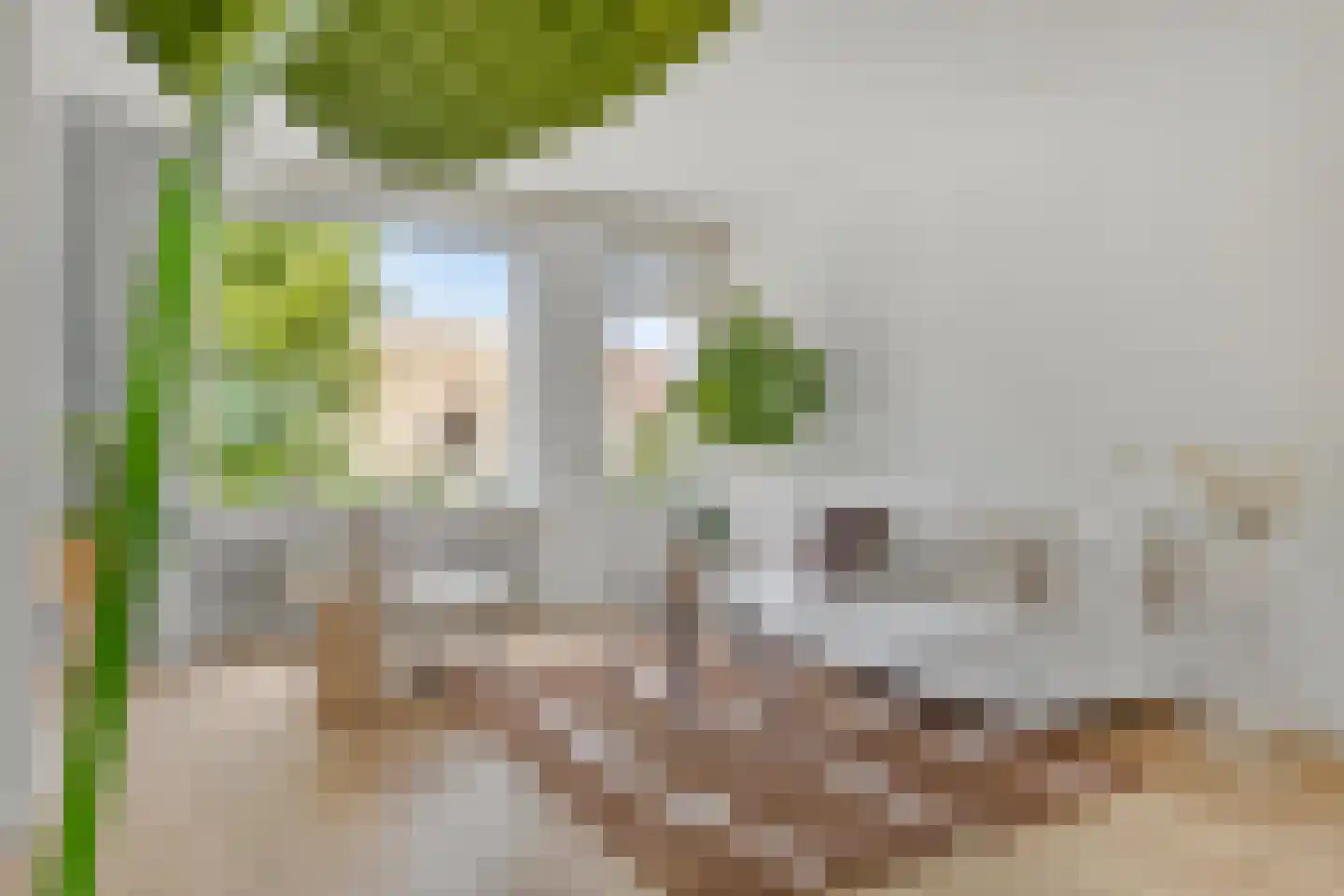 Hijmans van den Berghlaan 74 Utrecht thumbnail 15