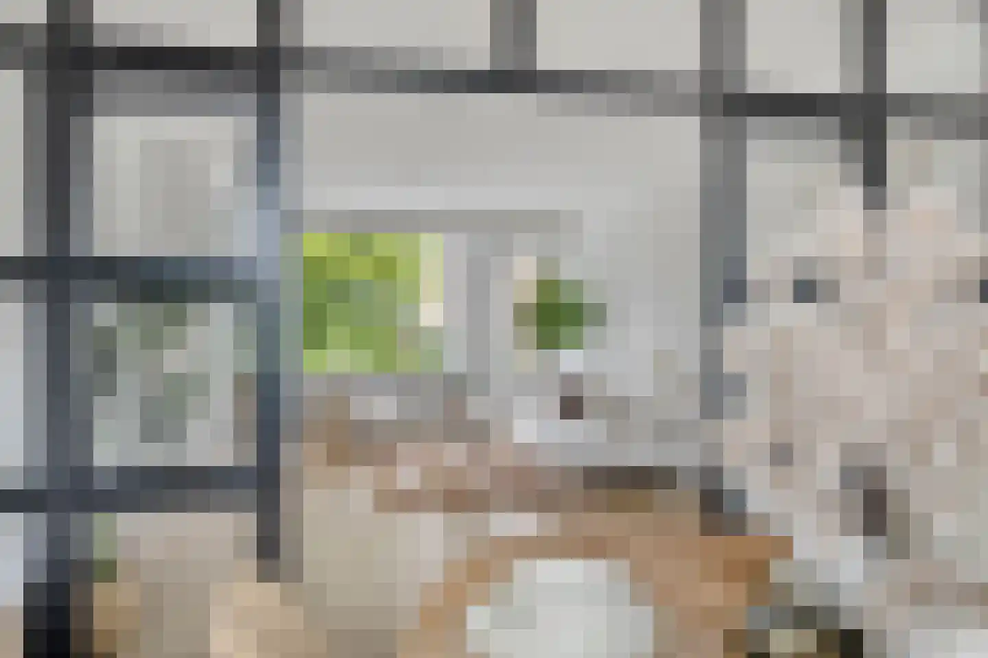 Hijmans van den Berghlaan 74 Utrecht thumbnail 20