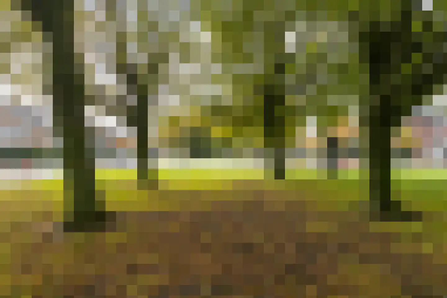 Hijmans van den Berghlaan 74 Utrecht thumbnail 41