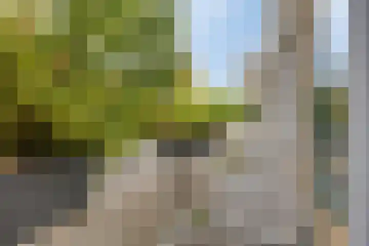 Hijmans van den Berghlaan 98 Utrecht thumbnail 20