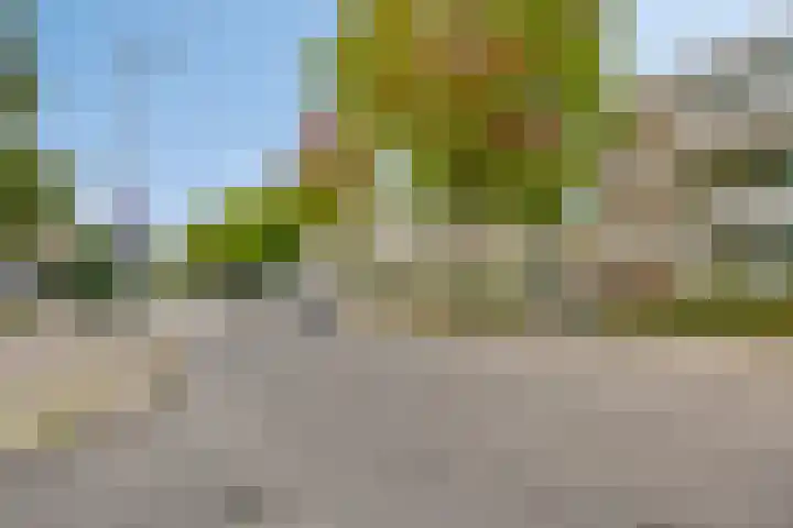 Hijmans van den Berghlaan 98 Utrecht thumbnail 30