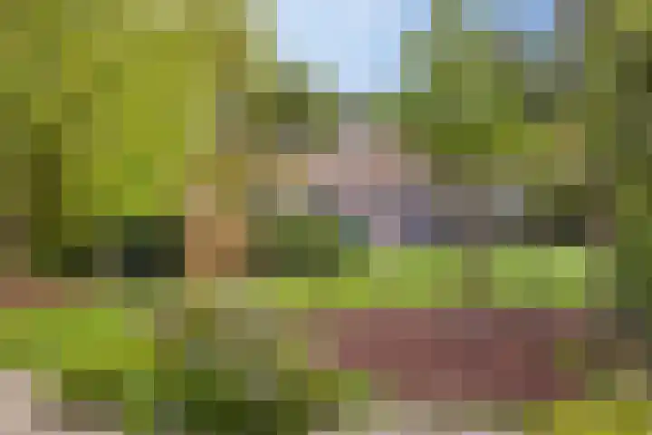 Hijmans van den Berghlaan 98 Utrecht thumbnail 32