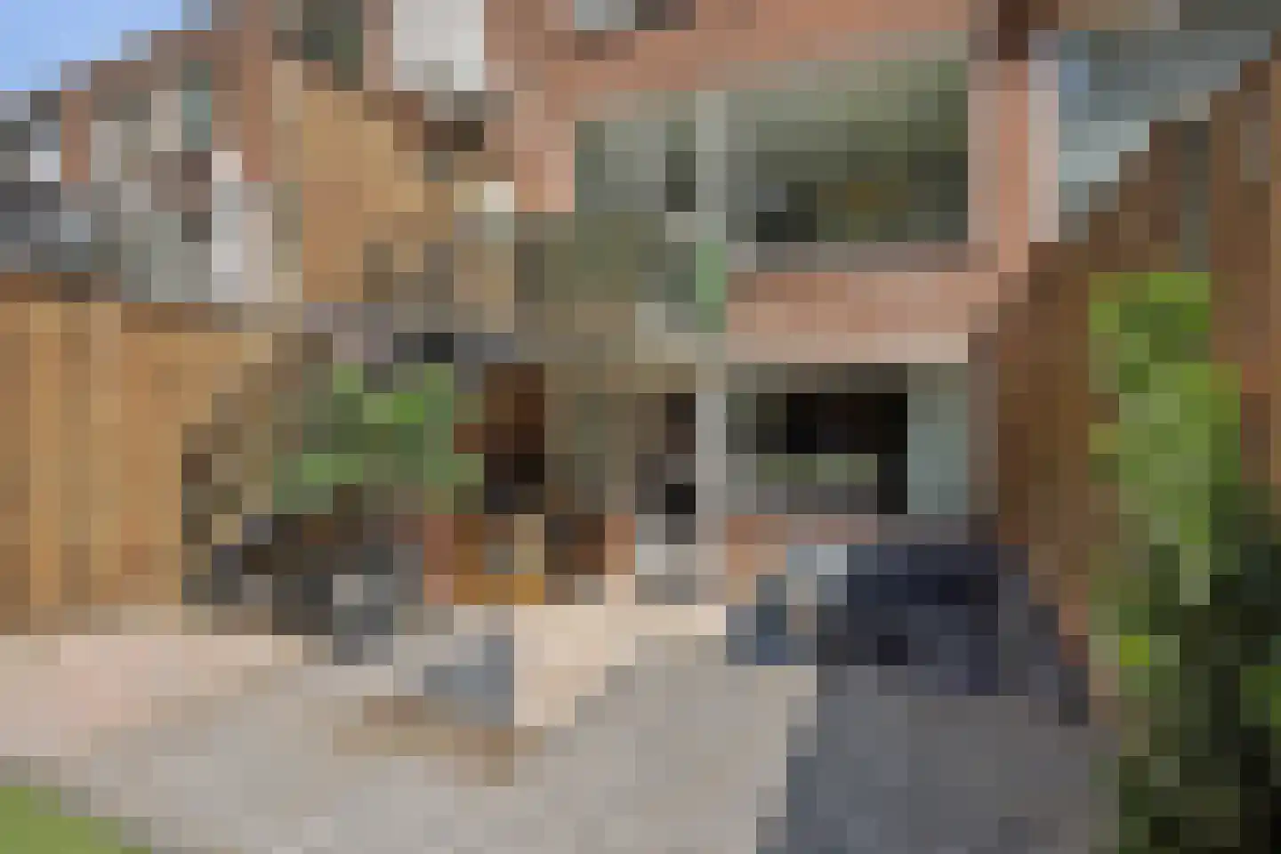 Hikspoorsstraat 14 Helmond thumbnail 39