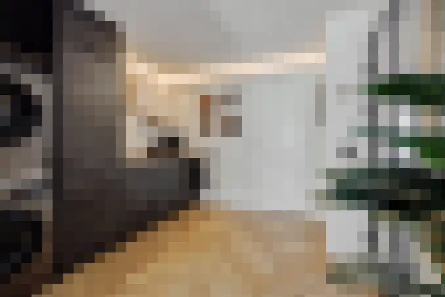 Hikspoorsstraat 14 Helmond thumbnail 8