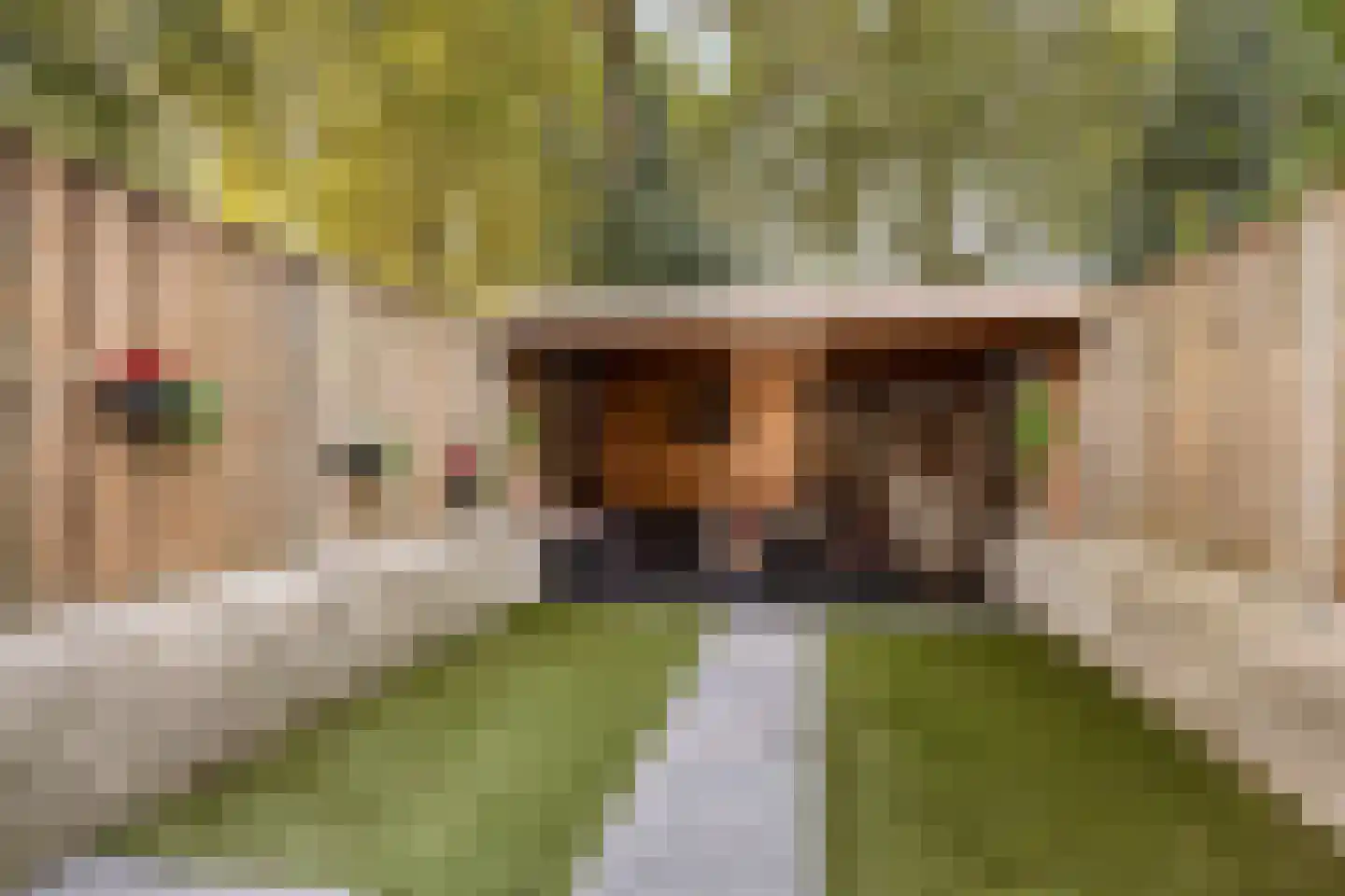 Hikspoorsstraat 6 Helmond thumbnail 14