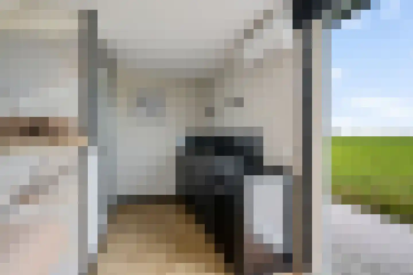Hilaerdermieden 1 Hilaard thumbnail 15