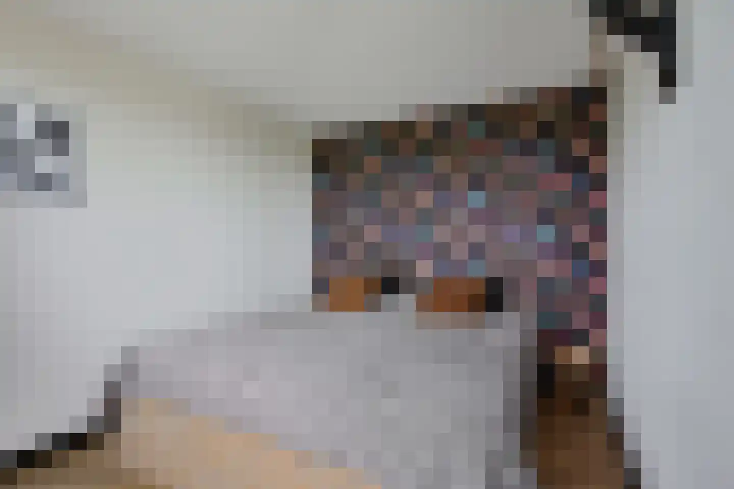 Hilaerdermieden 1 Hilaard thumbnail 16