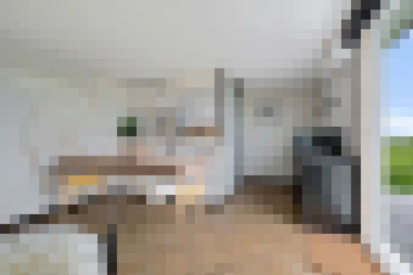 Hilaerdermieden 1 Hilaard thumbnail 17