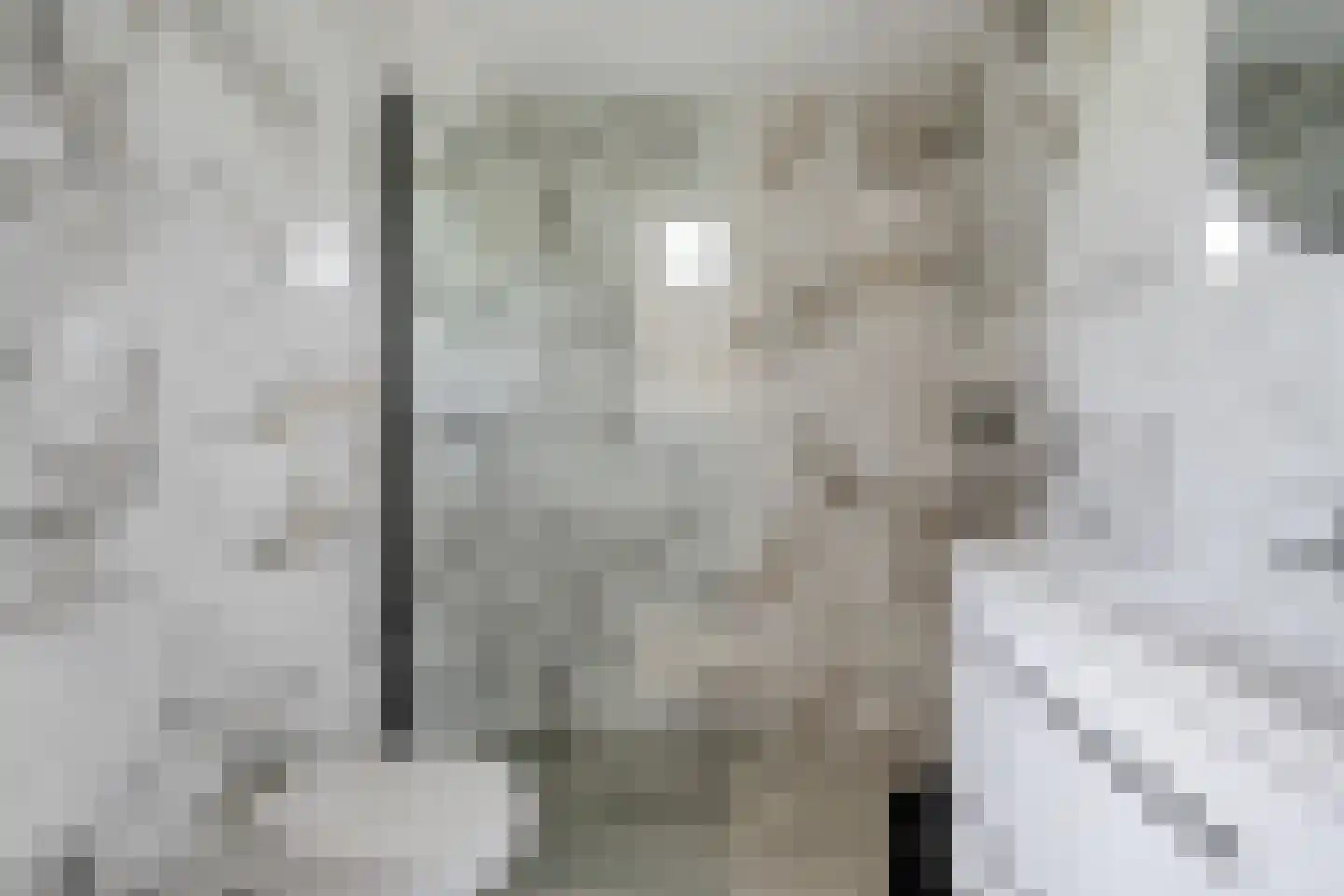 Hilaerdermieden 1 Hilaard thumbnail 18