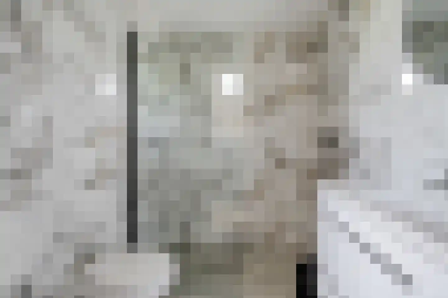 Hilaerdermieden 1 Hilaard thumbnail 18