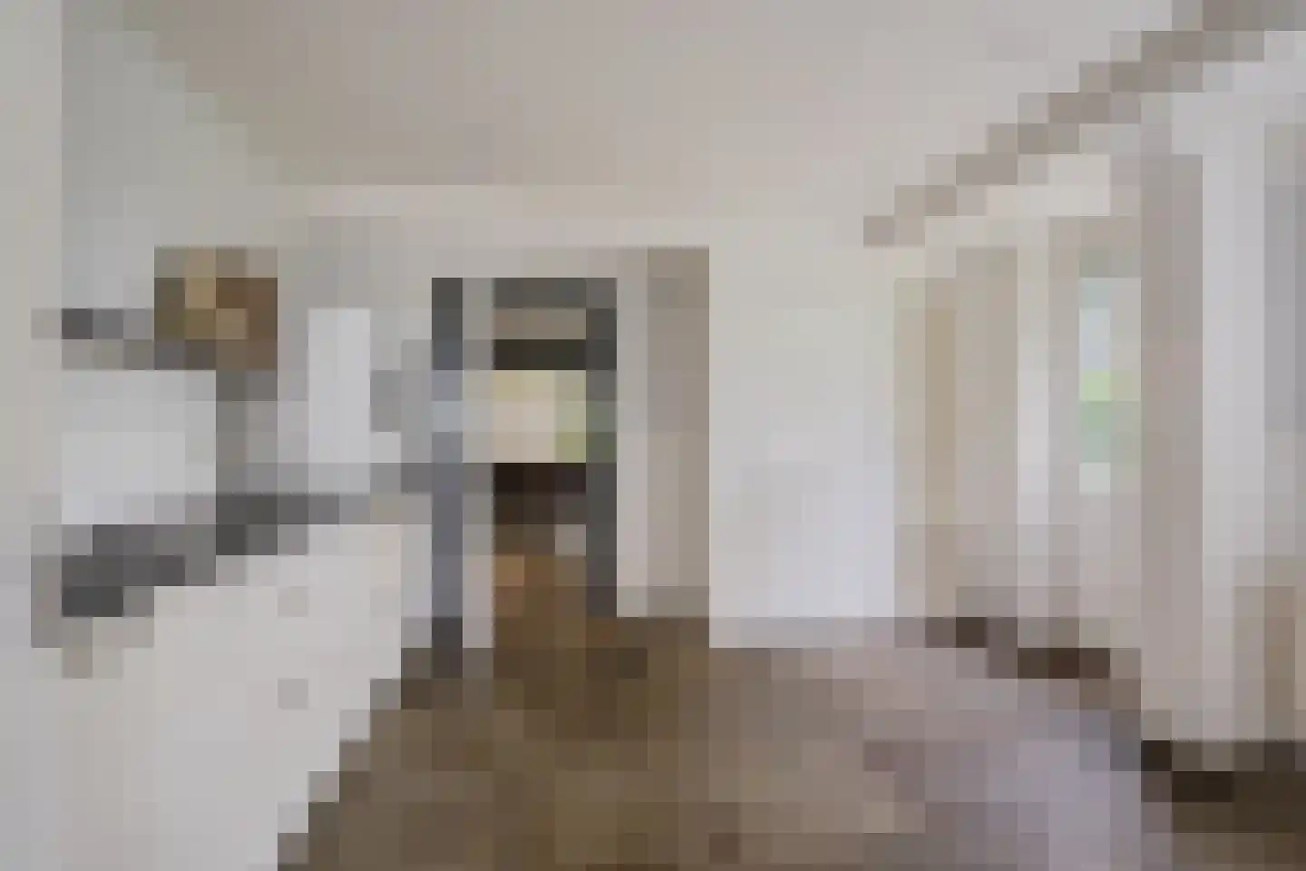 Hilaerdermieden 1 Hilaard thumbnail 20