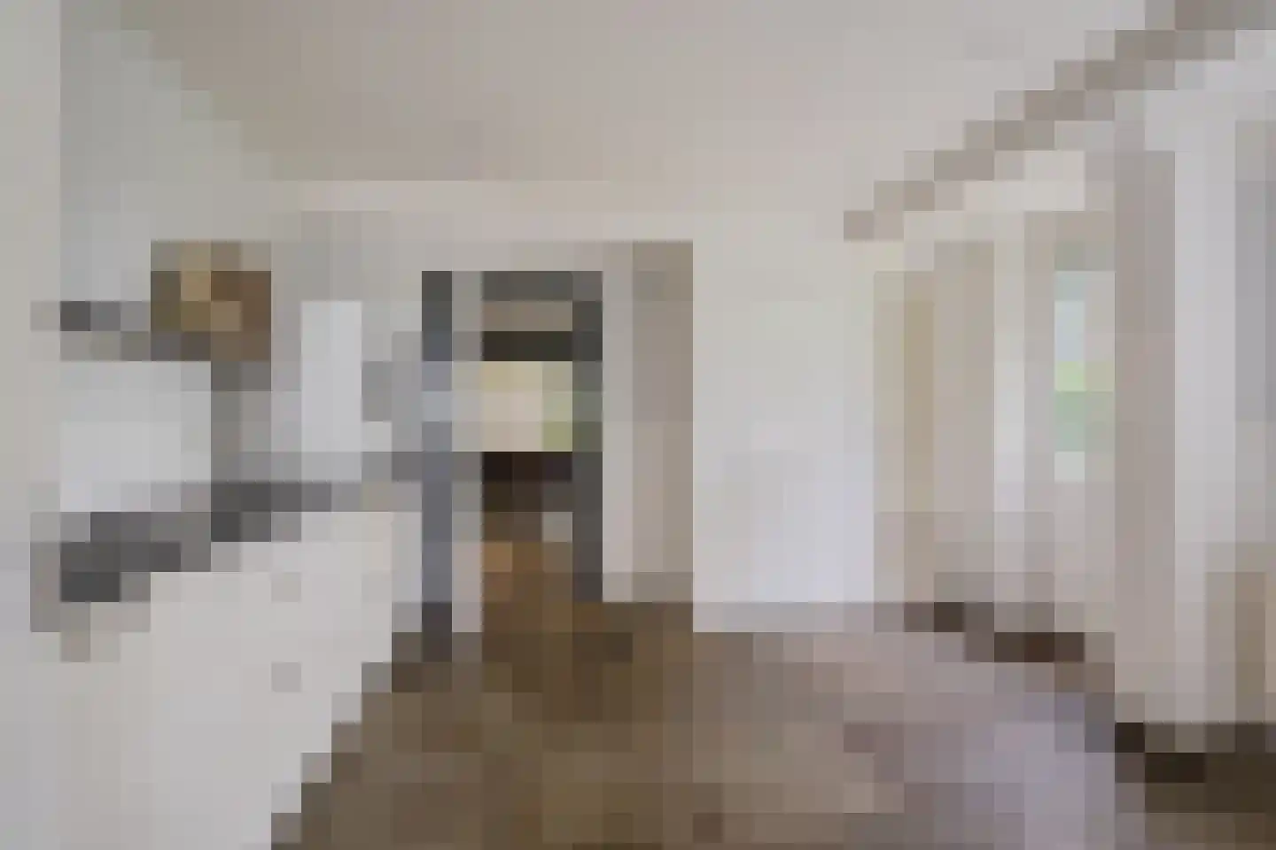 Hilaerdermieden 1 Hilaard thumbnail 20