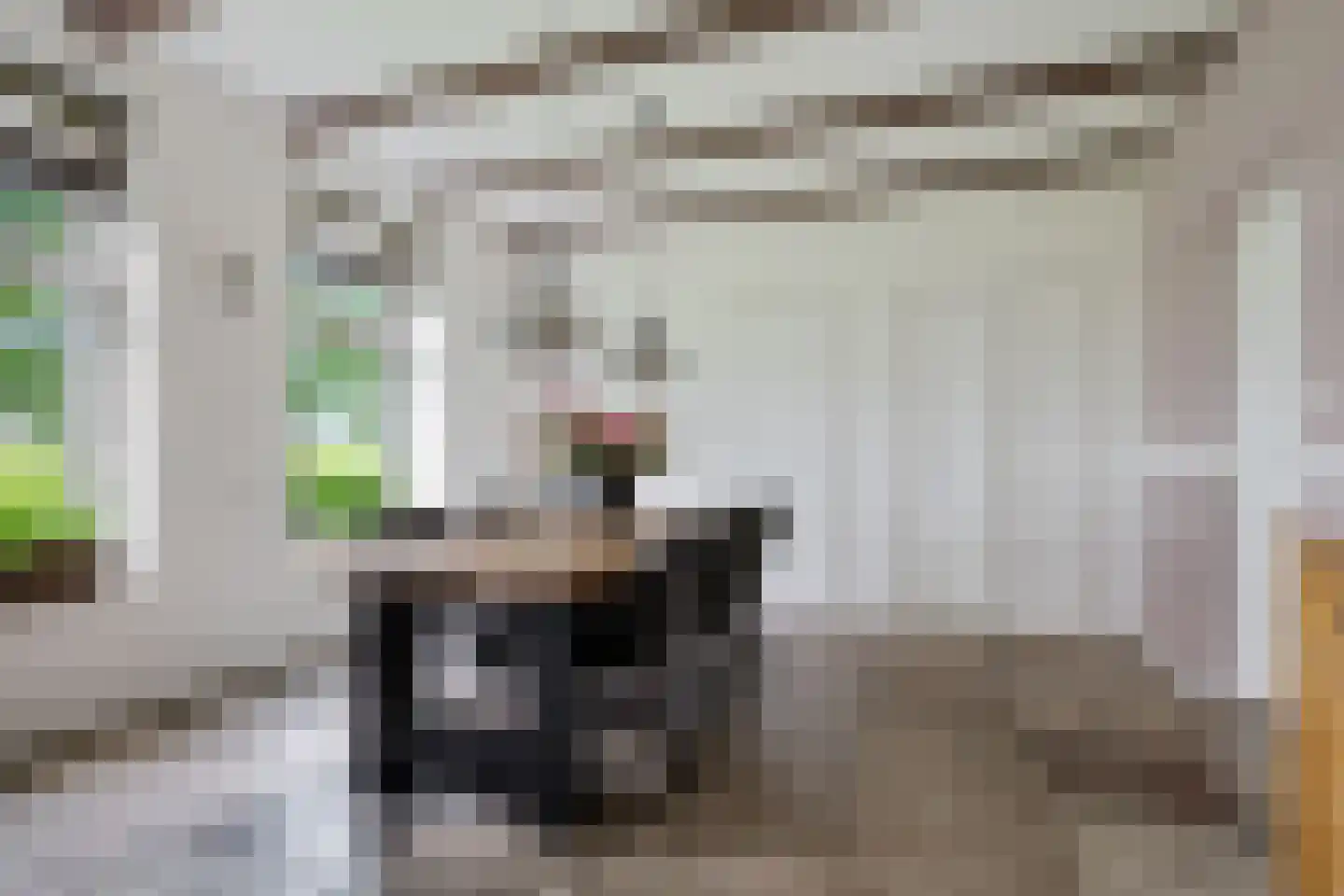 Hilaerdermieden 1 Hilaard thumbnail 26