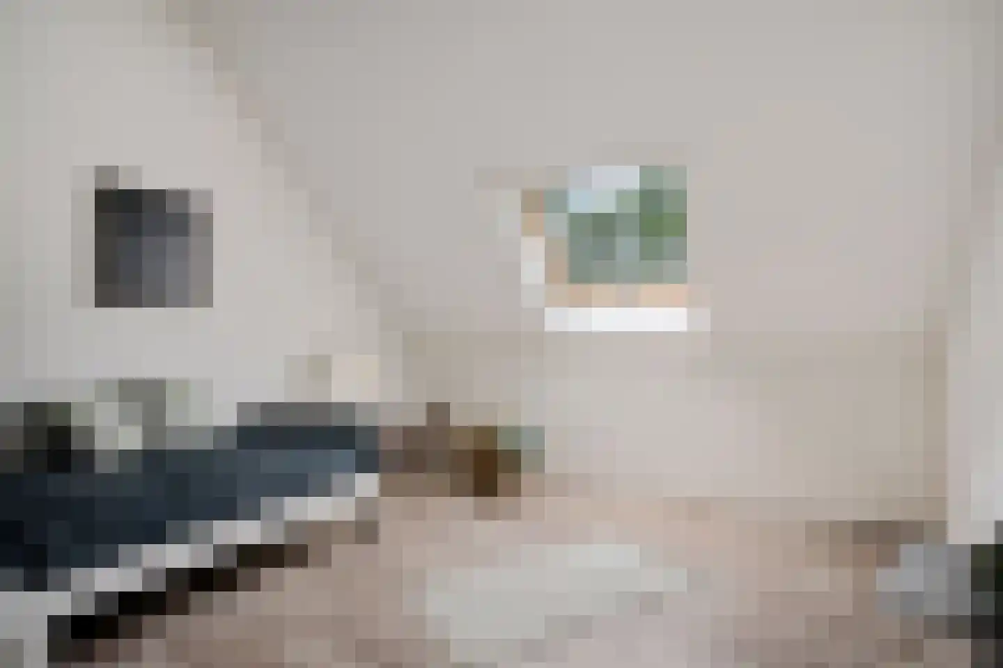Hilaerdermieden 1 Hilaard thumbnail 34