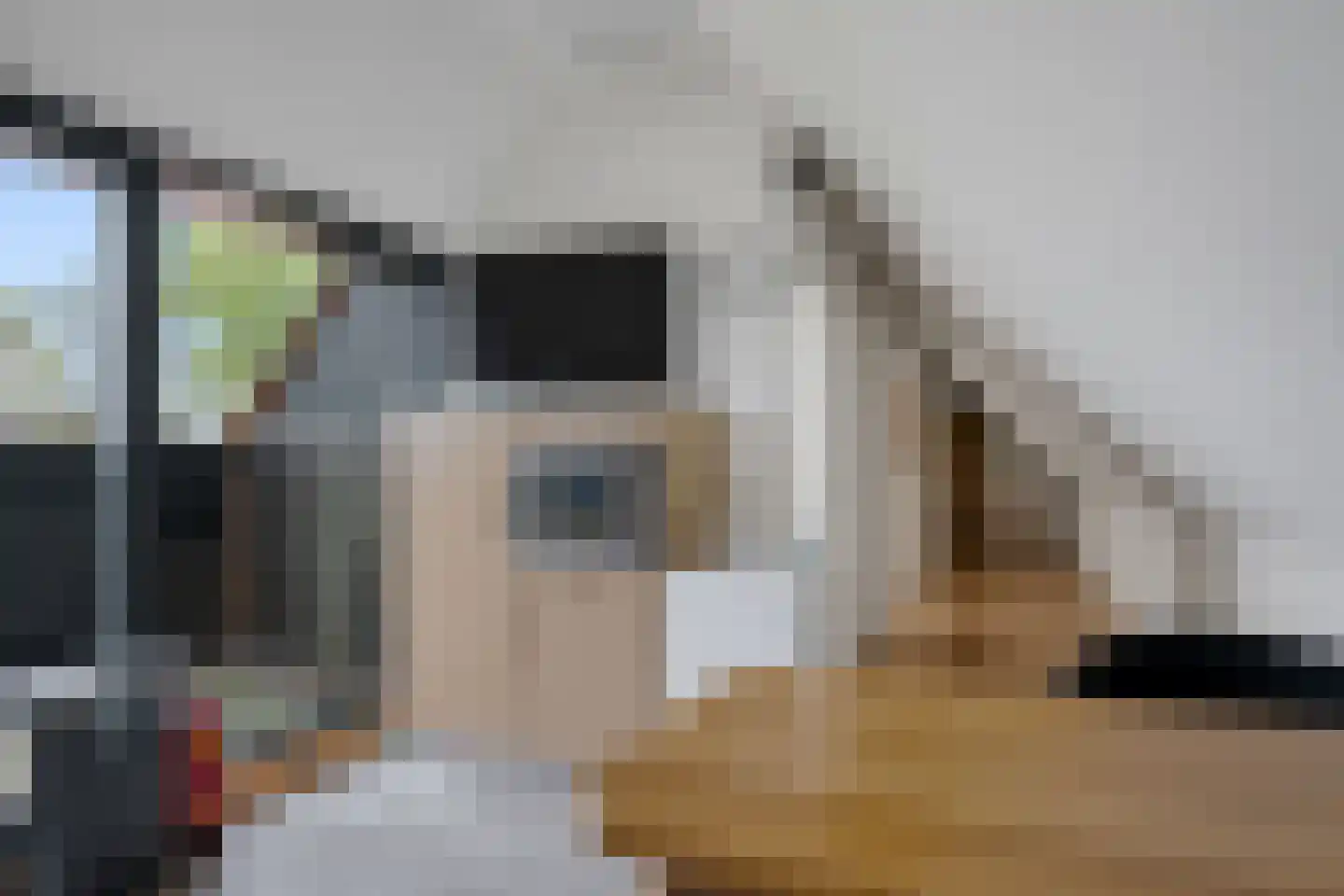 Hilaerdermieden 1 Hilaard thumbnail 41