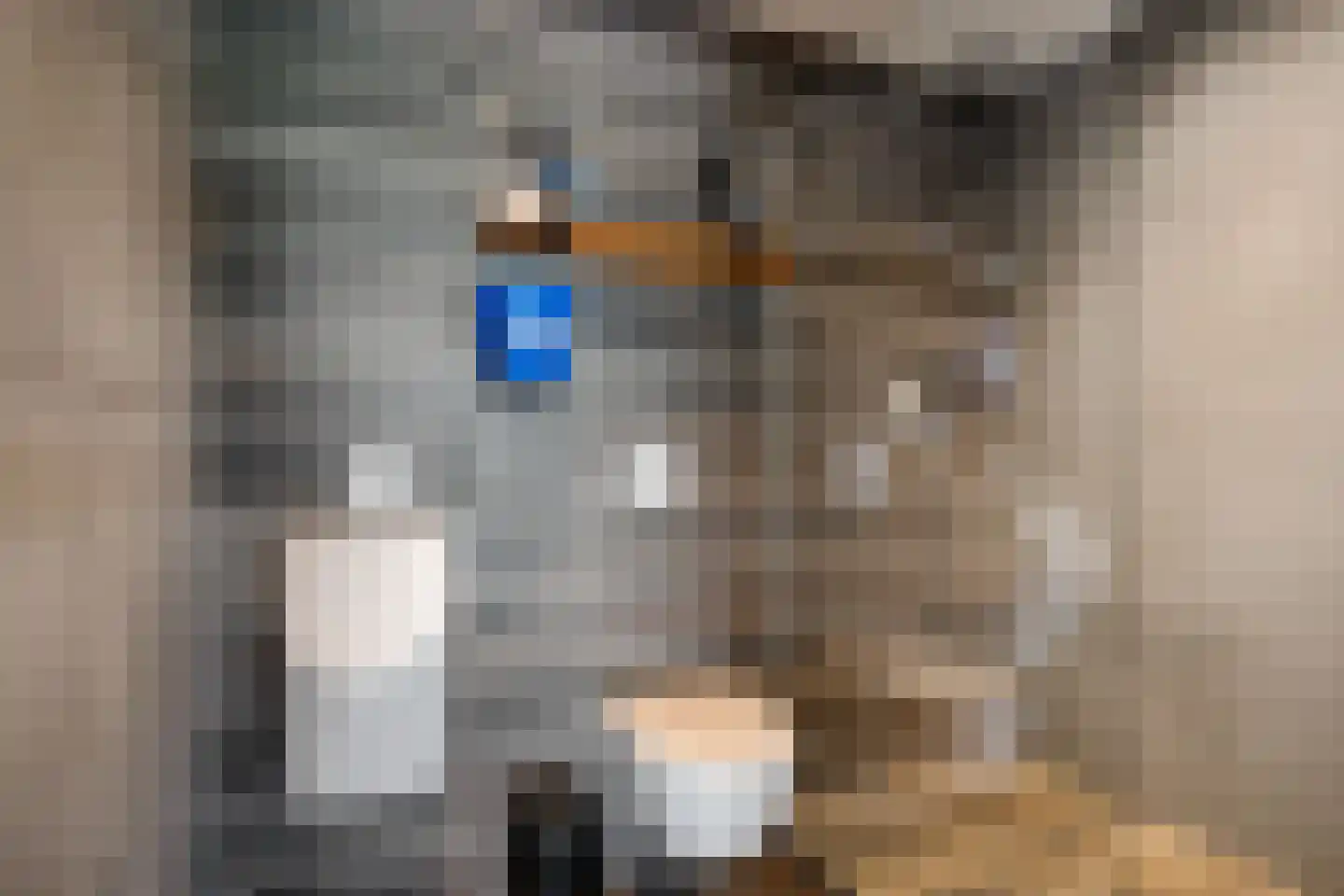 Hilaerdermieden 1 Hilaard thumbnail 43