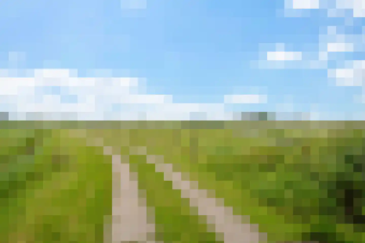 Hilaerdermieden 1 Hilaard thumbnail 46