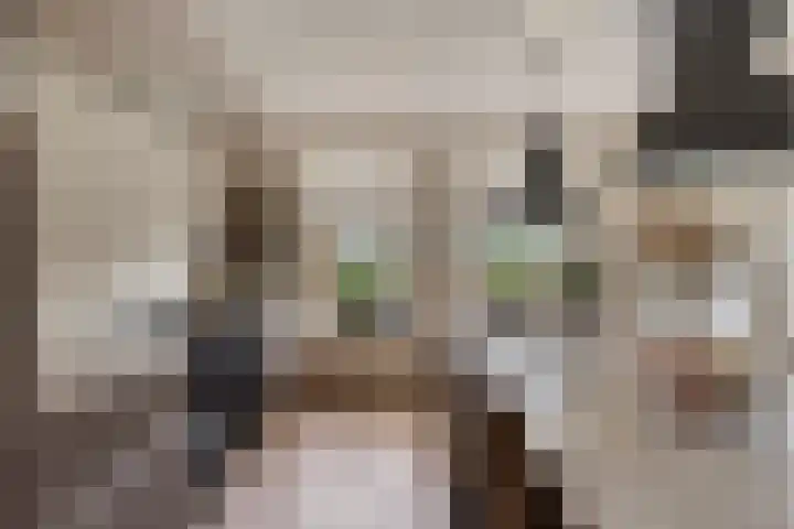 Hilakker 41 Bakel thumbnail 14
