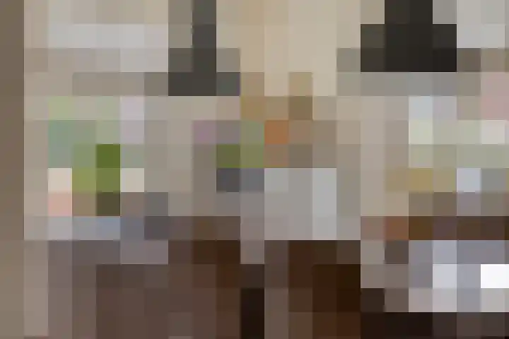 Hilakker 41 Bakel thumbnail 17