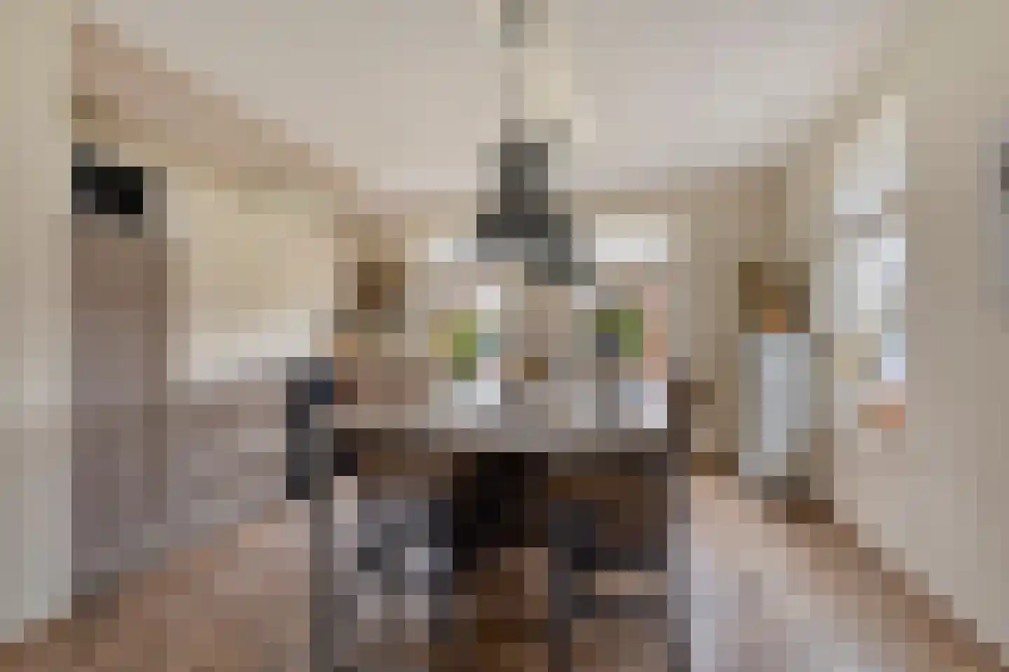 Hilakker 41 Bakel thumbnail 18