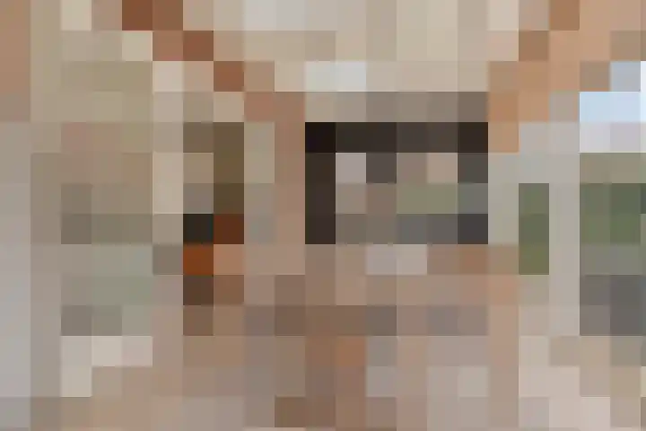 Hilakker 41 Bakel thumbnail 21