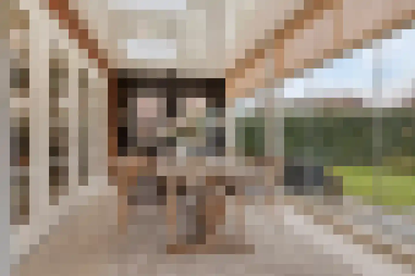 Hilakker 41 Bakel thumbnail 24