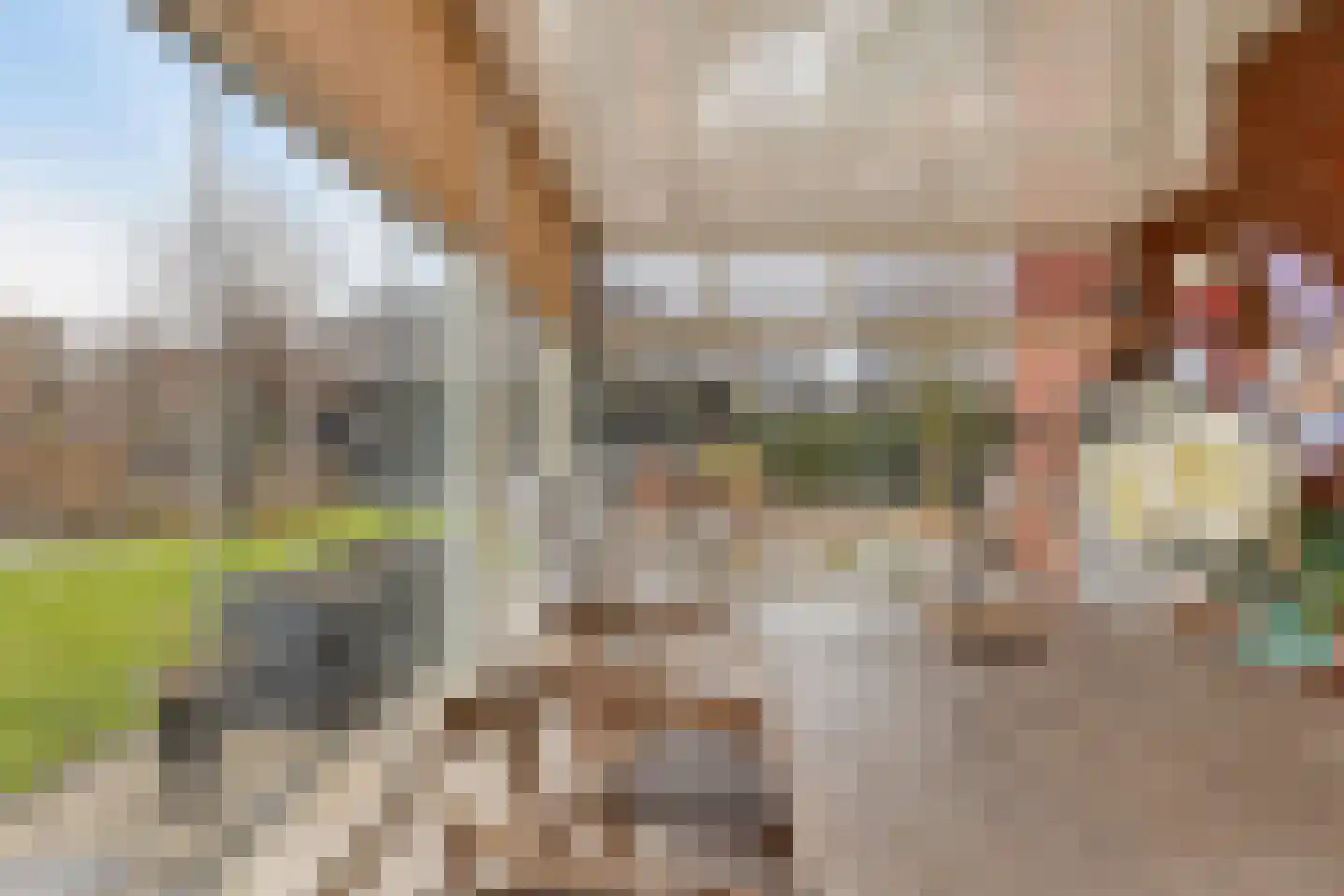 Hilakker 41 Bakel thumbnail 25