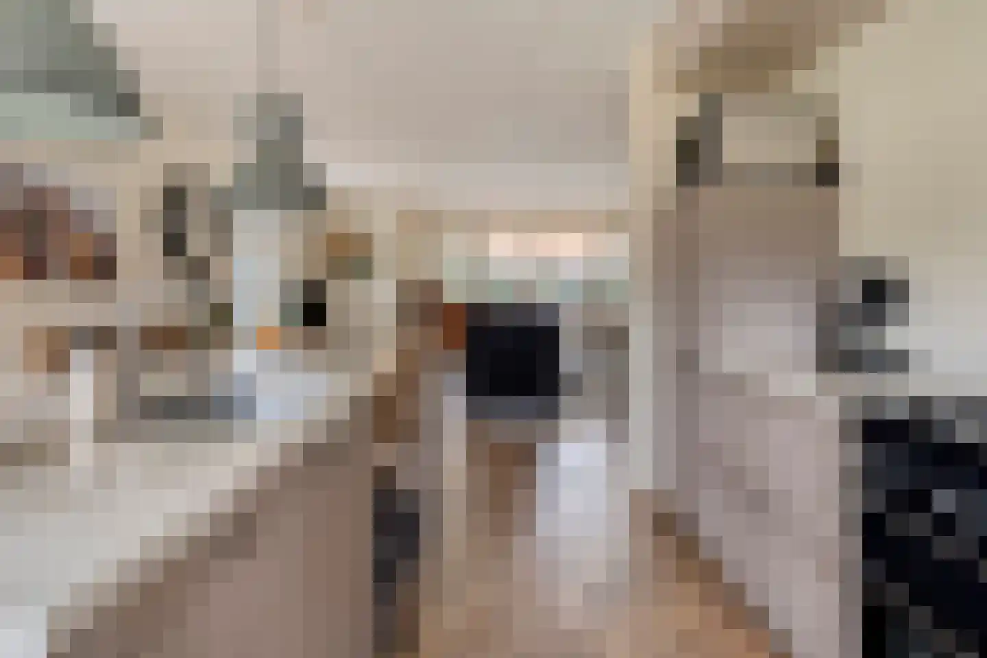 Hilakker 41 Bakel thumbnail 4