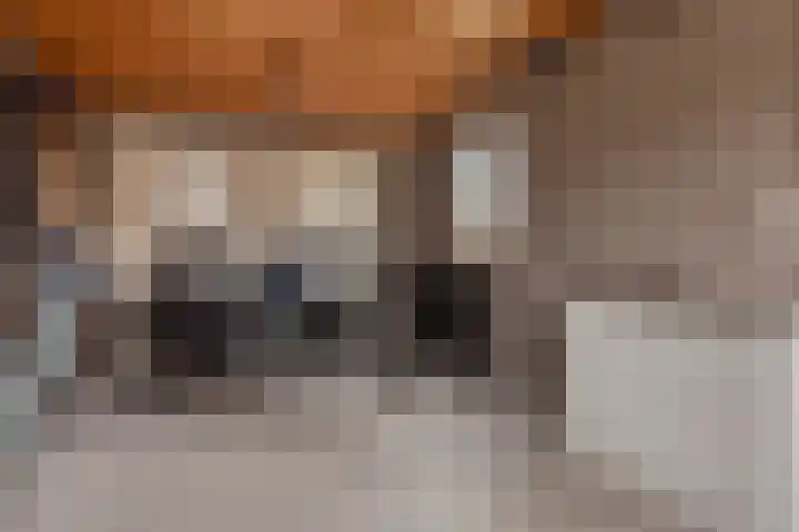 Hilakker 41 Bakel thumbnail 44